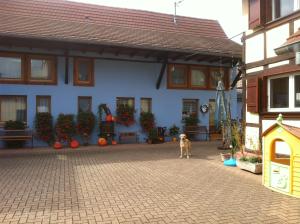 un cane in piedi di fronte a un edificio di Mélodies d'Alsace a Lipsheim