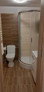 een kleine badkamer met een toilet en een douche bij Pod Brzozami in Sandomierz