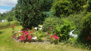 スシツェにあるApartmán "Pod Rokem"のピンクと白の花と茂みのある庭園