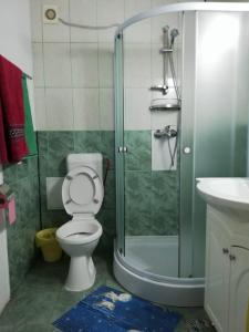 Ένα μπάνιο στο Vila Mihai Eminescu