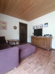 TV a/nebo společenská místnost v ubytování Haus Schwarzmann