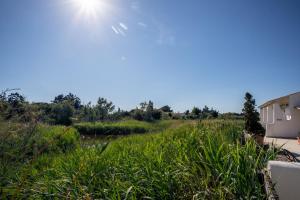 un champ d'herbe avec le soleil dans le ciel dans l'établissement Le Mas de Cocagne, à Saintes-Maries-de-la-Mer