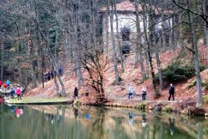 a group of people walking around a pond in a park at Cherry Tree Villa in Bošnjaci