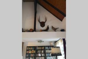 a room with a shelf with antlers and books at Cherry Tree Villa in Bošnjaci +10 photos