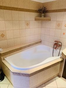 Ванна кімната в Penzion Na Růžku