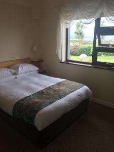 sypialnia z dużym łóżkiem i oknem w obiekcie Beach View Bed & Breakfast w mieście Allihies