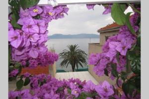 un mazzo di fiori viola con vista sull'acqua di Apartman Graciela Perfect location Gradac a Gradac (Grado)