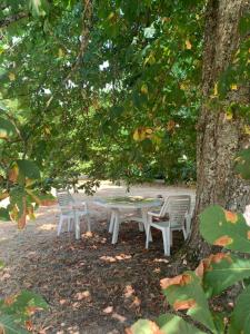 un tavolo da picnic e sedie sotto un albero di Le CASTELOU d'IDA a Saint-Julien-Gaulène