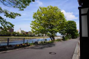 a tree on the side of a road next to a river at Saigawa House in Kanazawa +18 photos