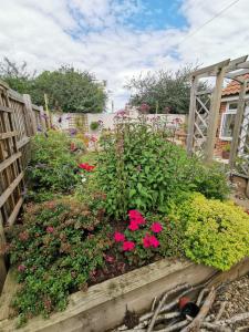 um jardim com flores cor-de-rosa numa caixa de madeira em The Garden Room em Leiston