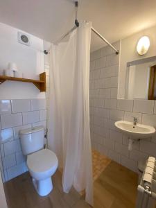uma casa de banho com um WC e um lavatório em Dom Pod Lasem em Murzasichle