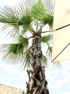 Galeriebild der Unterkunft Apartment Deer in Rogoznica