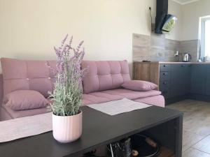a living room with a pink couch and a table at domki pod Jesionem Sławianowo nad jeziorem in Sławianowo