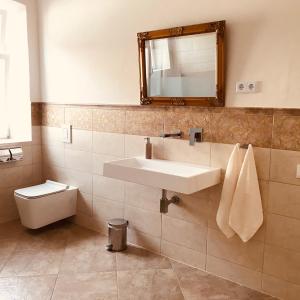 a bathroom with a sink and a toilet and a mirror at Barocker Hof Rhodt in Rhodt unter Rietburg