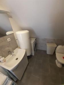 a bathroom with a sink and a toilet at VĖJO16 in Biržai