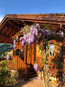 Zahrada ubytování CHALET B&B LAGHETTI MARTINA