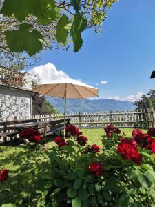 un banc avec un parasol et des roses rouges dans l'établissement Glögglhof, à Lana