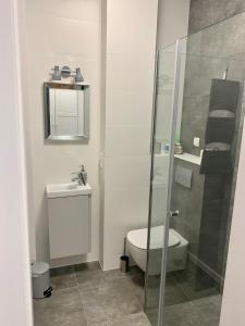 een badkamer met een toilet en een glazen douche bij Stare Miasto Six in Olsztyn