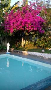 uma pessoa ao lado de uma piscina com flores cor-de-rosa em Hostel Tiradentes em Tiradentes