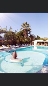 una piscina con una pelota de playa en el medio en Hotel Marconi, en San Benedetto del Tronto