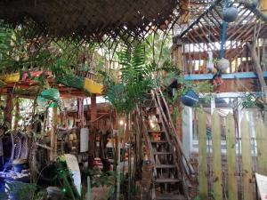 Giardino di Chami's Place