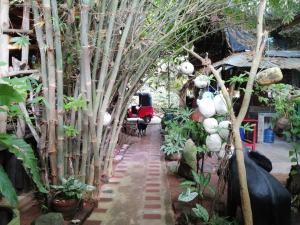 Giardino di Chami's Place