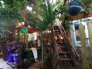 Giardino di Chami's Place