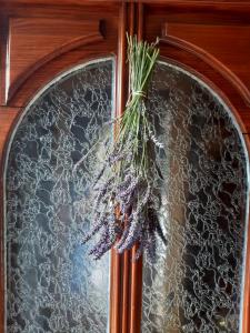 Fotografia z galérie ubytovania Kaiser Apartman v destinácii Hévíz