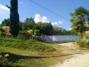 ein Haus auf einem Hügel mit einer Palme in der Unterkunft La Pietra Rara B&B in Montone