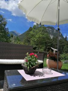 Zdjęcie z galerii obiektu Gästehaus Maria - Privatzimmer w mieście Nassereith