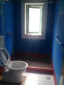 a blue bathroom with a toilet and a window at Misurino in Paul