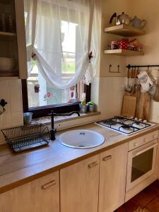 a kitchen counter with a sink and a window at Apartments Vjeverica in Zelin Mrzlovodički