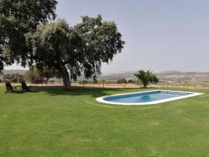 a swimming pool in the middle of a grass field at Alojamiento Rural El Chaparral in Setenil