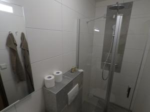 a bathroom with a shower and two rolls of toilet paper at Esprit Montagne in La Chapelle-dʼAbondance