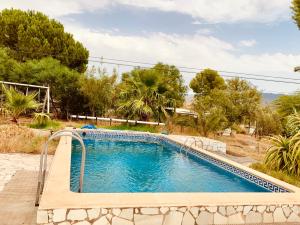 塔韋爾納斯的住宿－Casa Sol y Vida Tabernas，一座大游泳池,位于一个树木繁茂的庭院内
