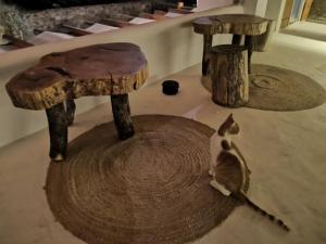 a cat sitting on the floor next to two wooden benches at M-Vibes Mykonos Suites in Kalafatis
