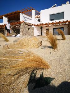 une maison avec de l'herbe haute devant elle dans l'établissement M-Vibes Mykonos Suites, à Kalafatis