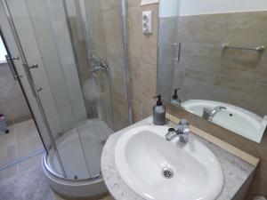 a bathroom with a sink and a shower and a toilet at Bega Apartman in Barcs