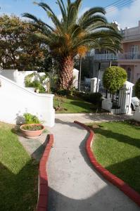 einen Gehweg in einem Garten mit einer Palme in der Unterkunft Altona Lodge in Kapstadt