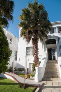 a palm tree in front of a white building at Altona Lodge in Cape Town