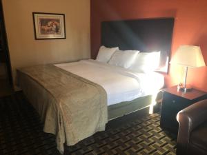 um quarto de hotel com uma cama e um candeeiro em Executive Inn Woodward em Woodward