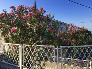 Ein Garten an der Unterkunft Holiday House Crik