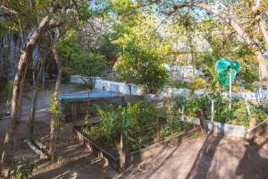 Jardí fora de New Ruins Off-The-Grid SuperAdobe Domes with Pool