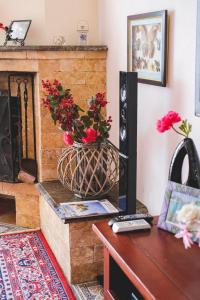 Billede fra billedgalleriet på Bonita i Zatoka