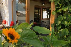 Zahrada ubytování B&B Frühlingsheim