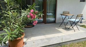 a patio with plants and a table and a chair at Aviator Boutique Residence in Otopeni +234 photos