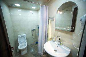 Un baño con lavabo, inodoro y espejo. en Family Apartments "IGWT", en Tiflis 17 fotos más