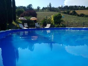 a blue swimming pool with chairs and umbrellas at La Pietra Rara B&B in Montone