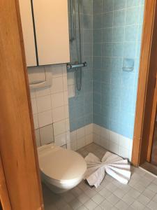 Kúpeľňa v ubytovaní Kleine Ferienwohnung am Rande der Wildnis