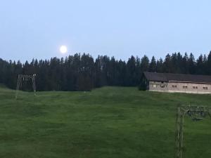 Príroda v okolí apartmánu